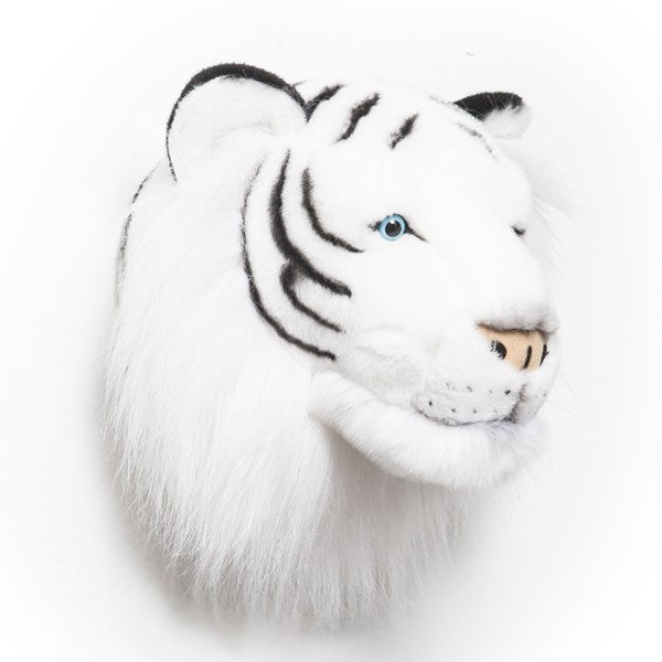 Albert The White Tiger Head