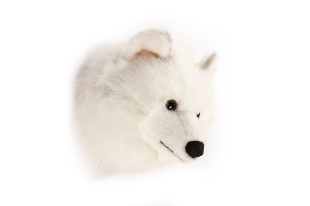 Medium Head White Wolf Lucy