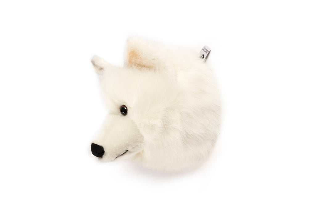 Medium Head White Wolf Lucy