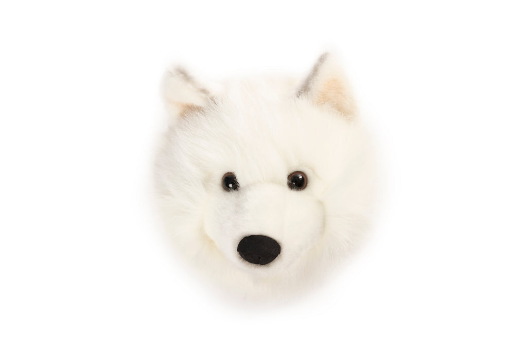 Medium Head White Wolf Lucy