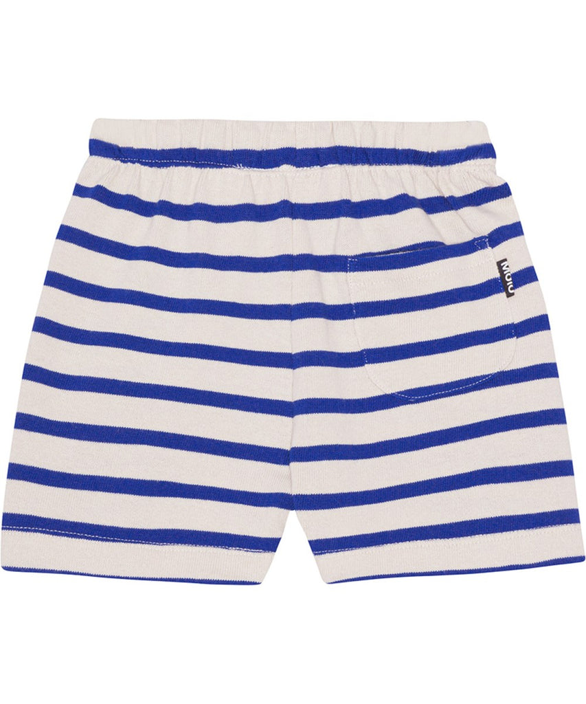 Skie Blue Reef Stripe Shorts