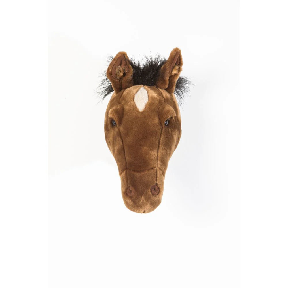 Scarlett the Brown Horse