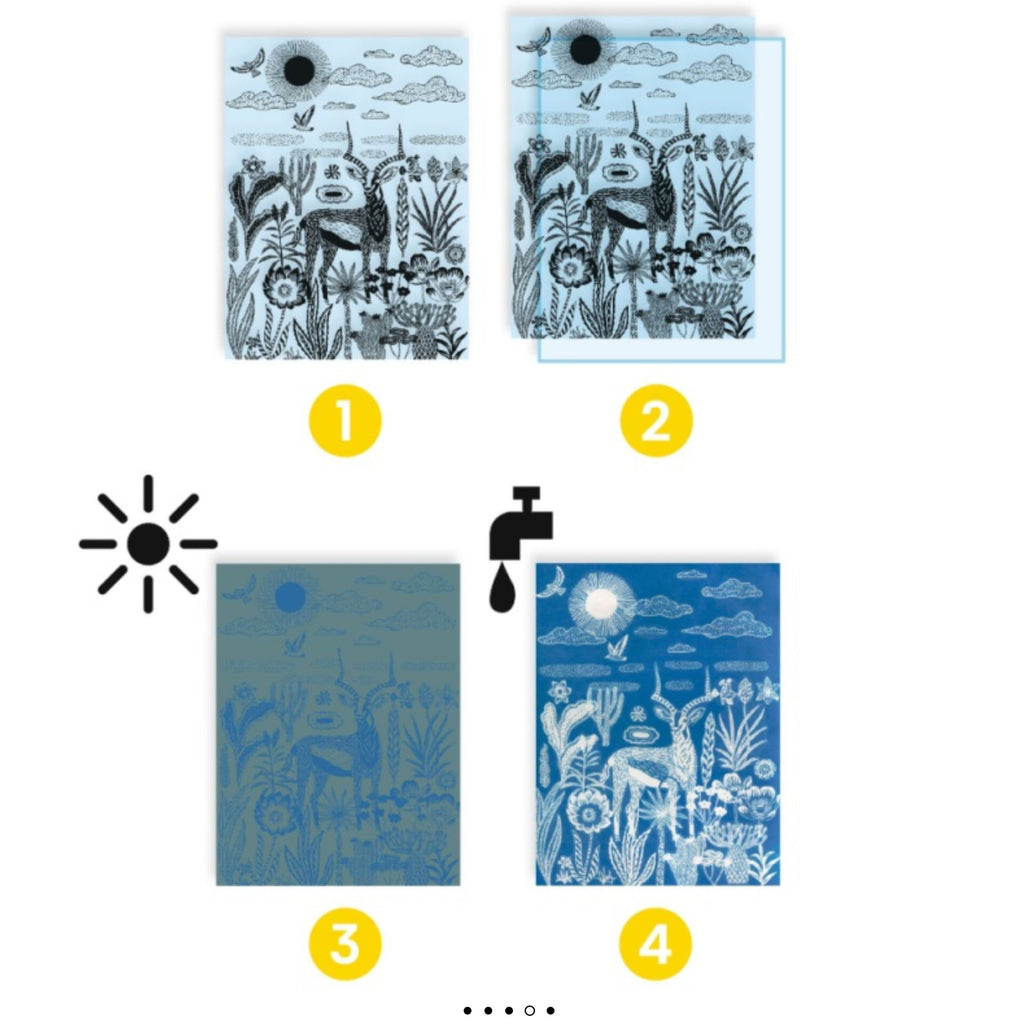 Djeco Cyanotype Night-time in the Savannah