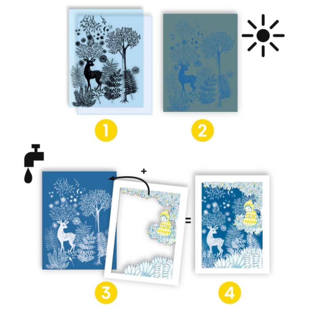 Djeco Cyanotype By the Light of the Moon