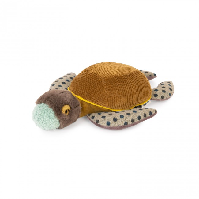 Small turtle Tout autour du monde