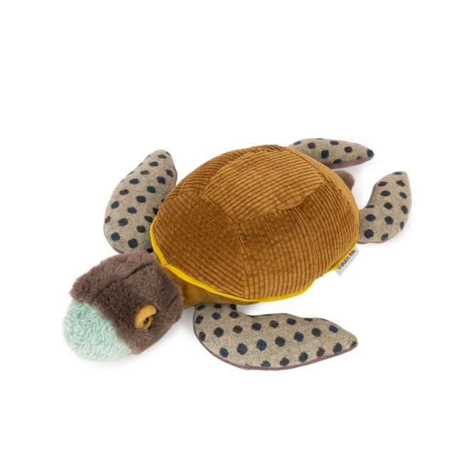 Small turtle Tout autour du monde