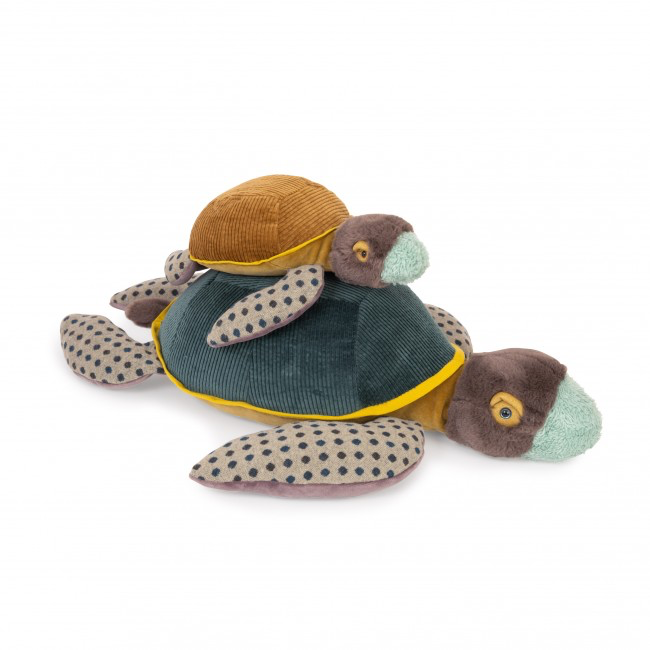 Large turtle Tout autour du monde