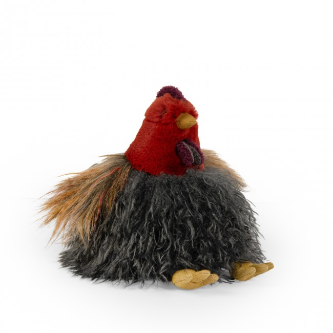 Hen Tout autour du monde