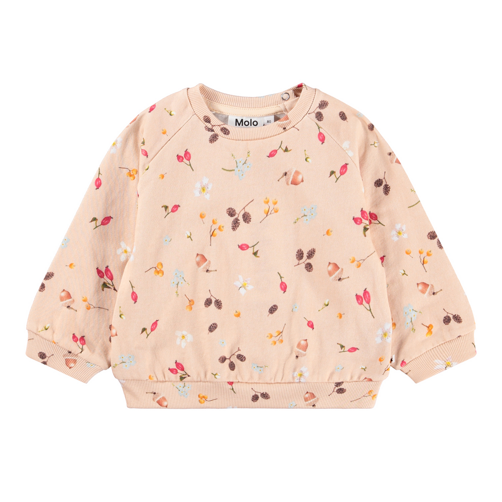 Disc Jumper - Foraging Rose