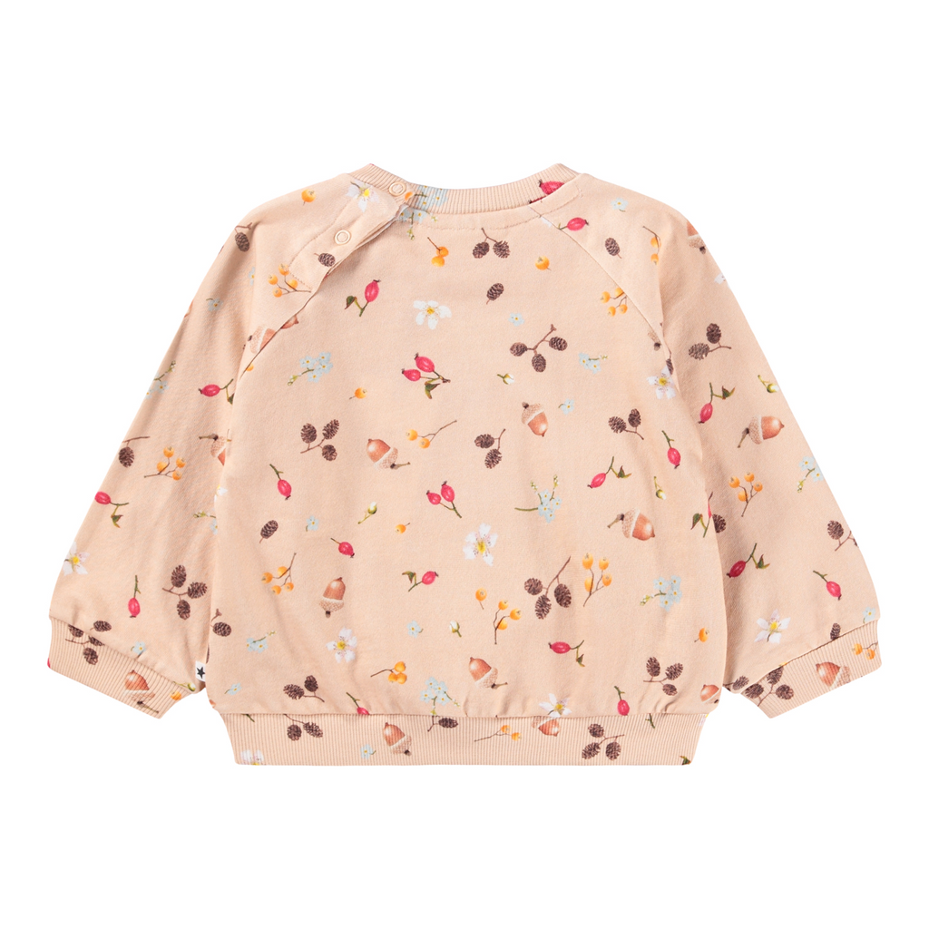 Disc Jumper - Foraging Rose