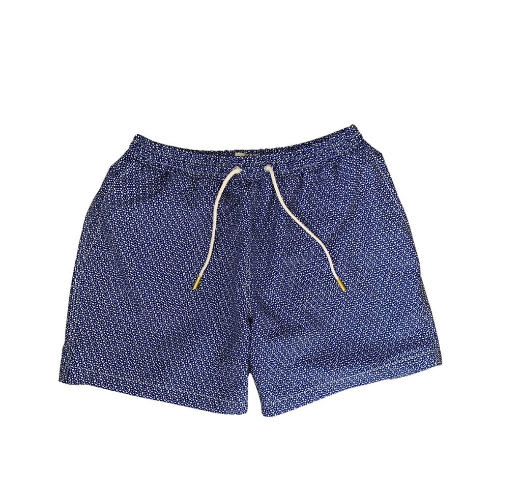 The Shibumis Swim Shorts - Blue