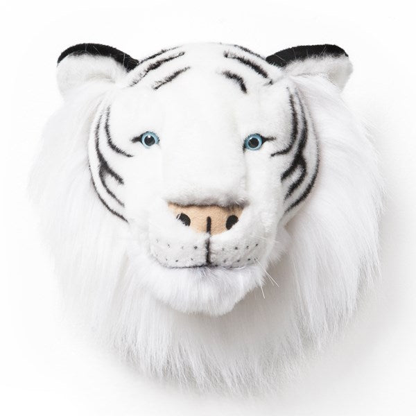 Albert The White Tiger Head