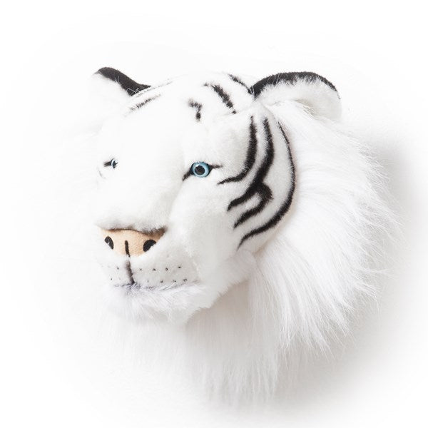 Albert The White Tiger Head