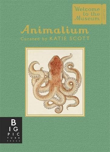Animalium (Mini Gift ED)