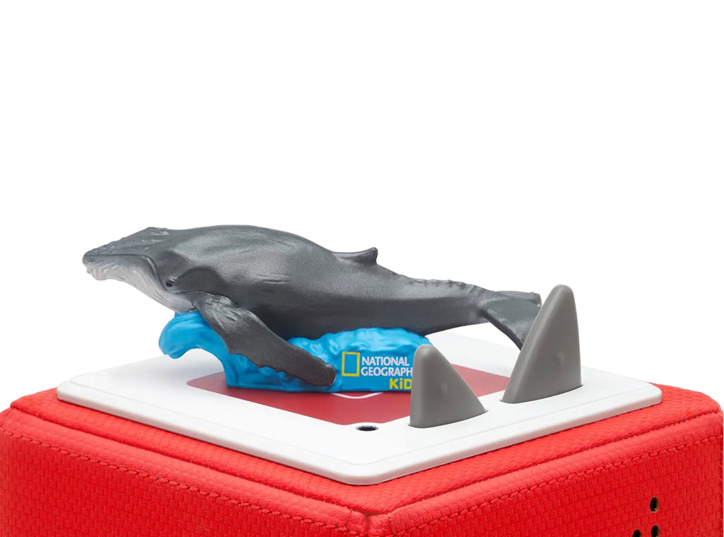National Geographic Kids: Whale