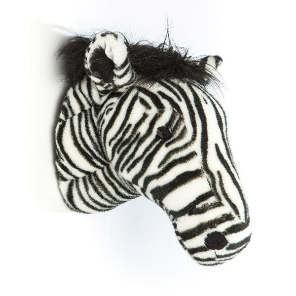 Daniel The Zebra Head