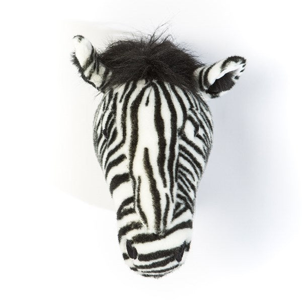 Daniel The Zebra Head