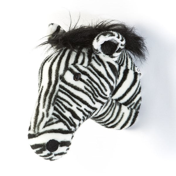 Daniel The Zebra Head
